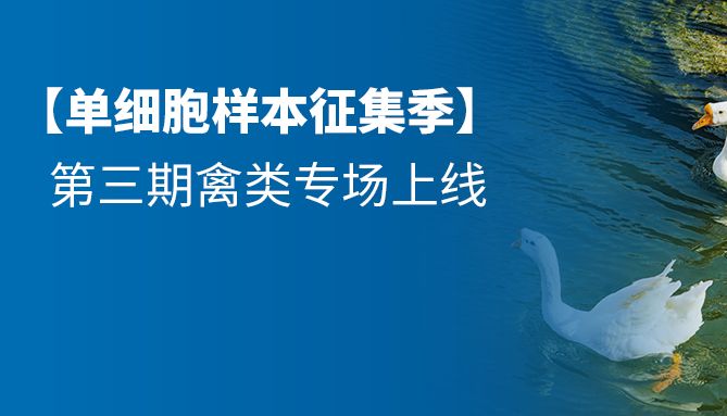 【样本征集季】单细胞研究助力解码禽类生命密码，共筑科研新基石