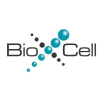 维百奥生物可提供Bio X Cell抗体产品