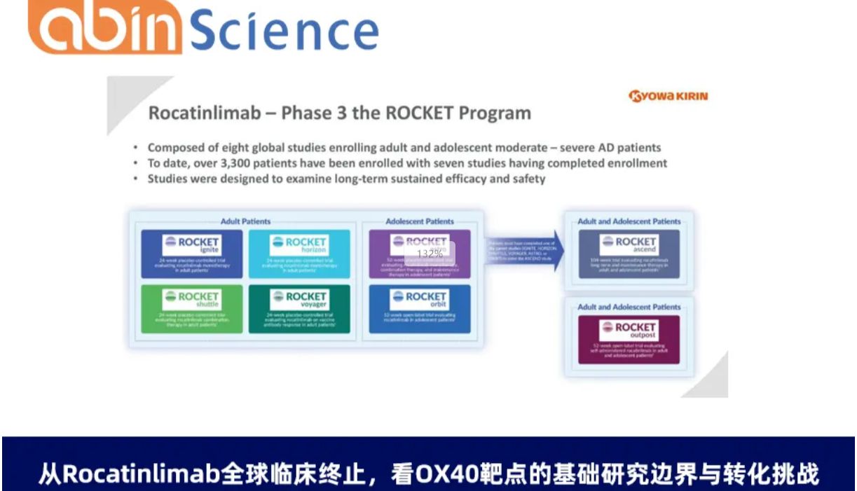 从Rocatinlimab全球临床终止，看OX40靶点的基础研究边界与转化挑战