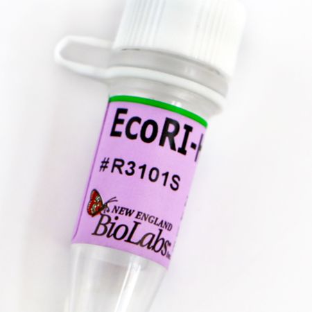 EcoRI-HF® 