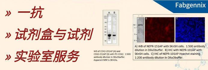 产品细节图片2
