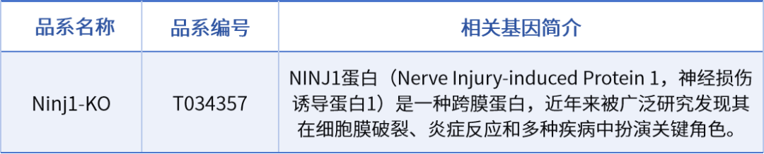 表格3.png