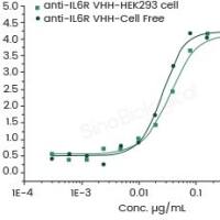 Cell-Free Protein Synthesis kit