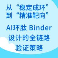 从“稳定成环”到“精准靶向”：AI环肽 Binder 设计的全链路验证策略