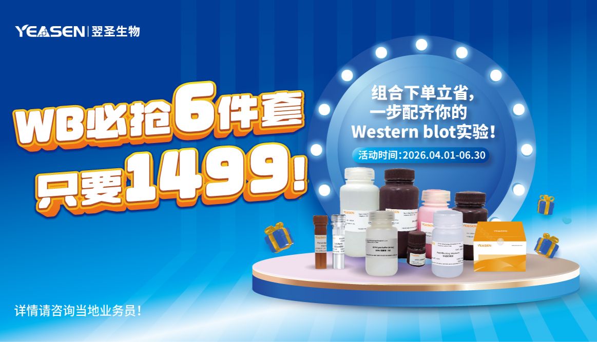 WB必抢6件套，只要1499！下单立省，一步配齐！