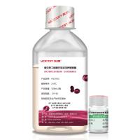 脂肪间充质干细胞无血清培养套装