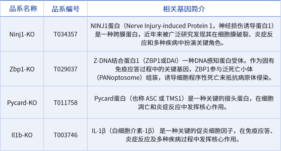 表格4.png