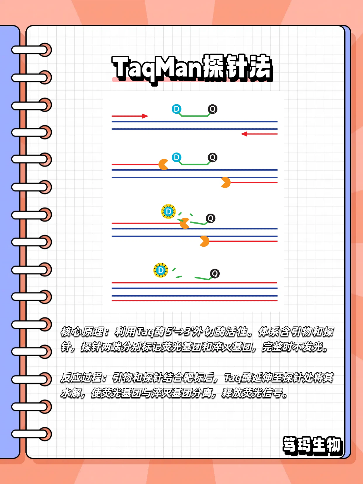 技术资料图片3