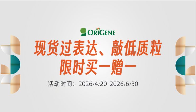 现货过表达、敲定质粒「搭档有约」