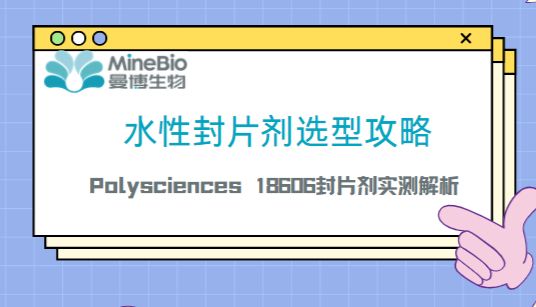 实验必备：水性封片剂选型攻略｜Polysciences 18606封片剂实测解析