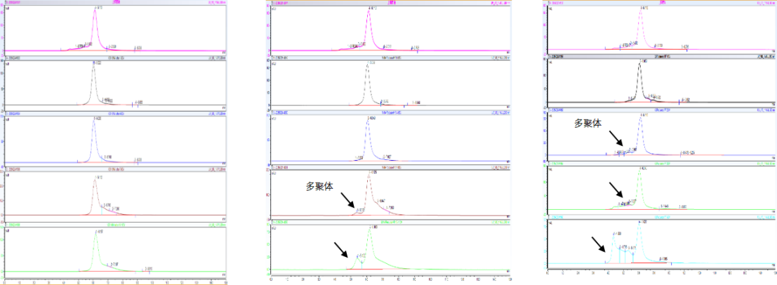 新闻图片3