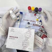 睾酮Testosterone(T)ELISA检测试剂盒（竞争法）