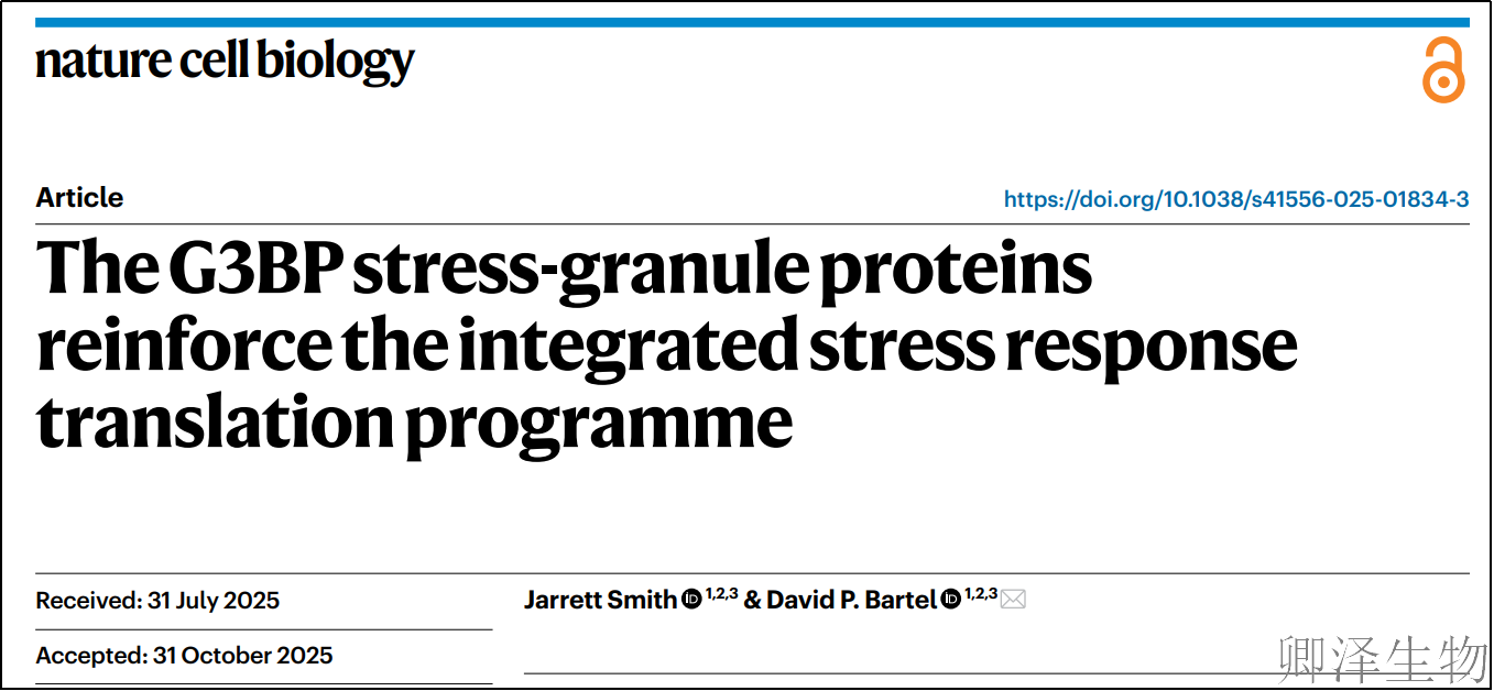 【细胞应急救援体系--综合应激反应】 | ：应激颗粒：是“垃圾堆”还是“指挥所”？