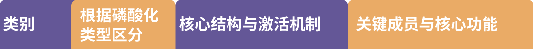 新闻图片3