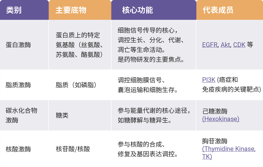 新闻图片1