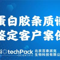 百泰派克生物科技,蛋白胶条质谱鉴定客户案例