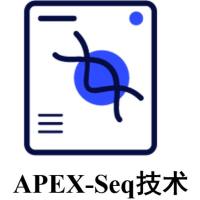 APEX-Seq技术实验服务