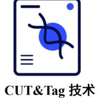 CUT&Tag技术实验服务