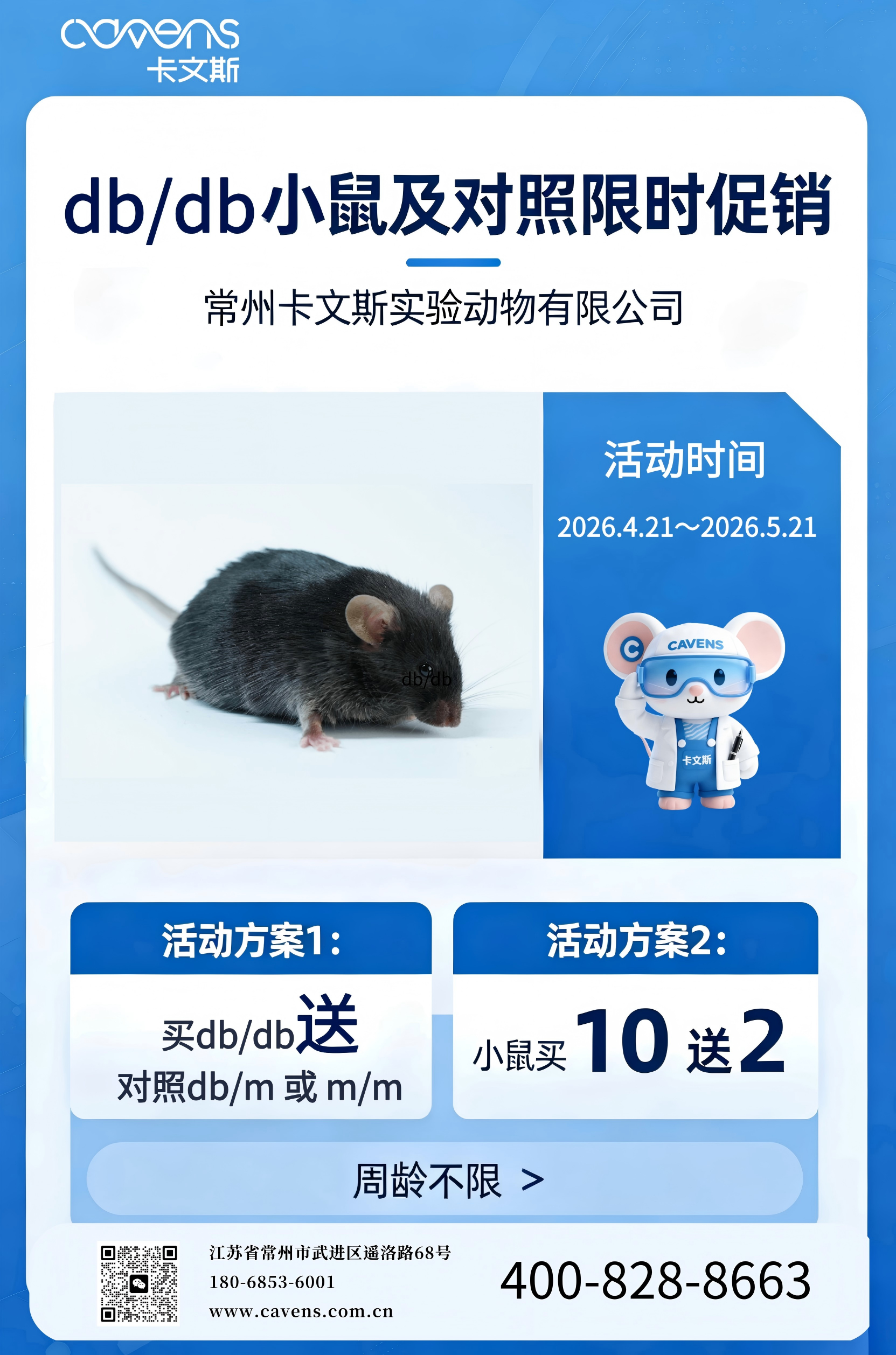 db/db小鼠及对照限时促销