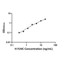 人丝蛋白Cγ(FLNC)ELISA试剂盒