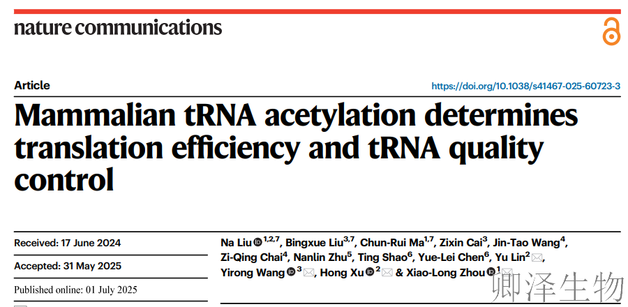 【tRNA修饰影响核糖体动力学】 | ：这颗微小“铆钉”，如何成为细胞翻译的“温度计”与“限速器”？