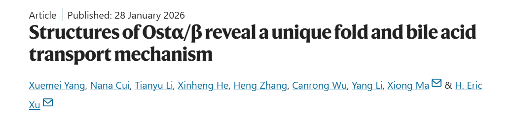 藏在身体里的 “代谢开关”！上交大团队在 Nature 解开它的结构密码