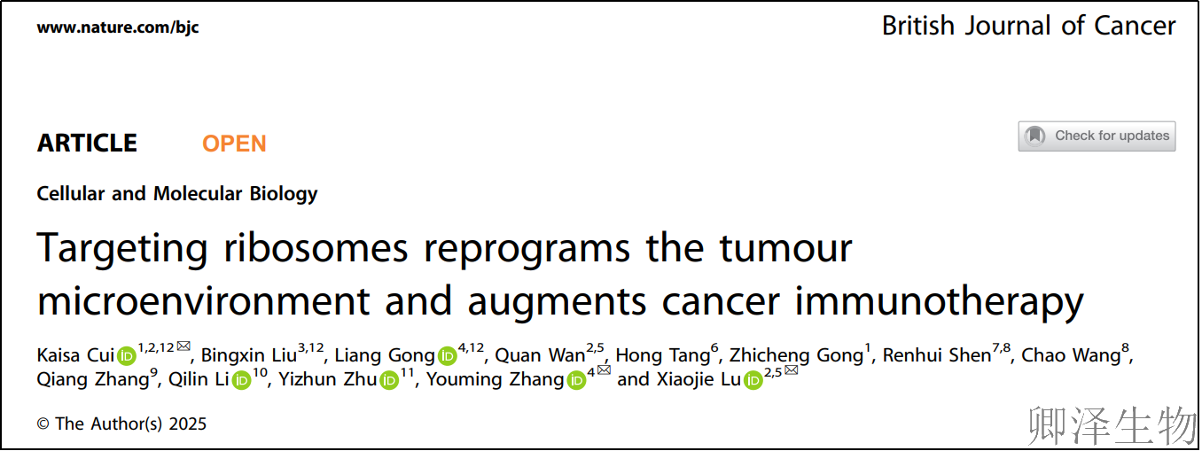 【细胞治疗领域应用】 | ：靶向翻译机器，重塑肿瘤微环境，免疫疗法疗效倍增！