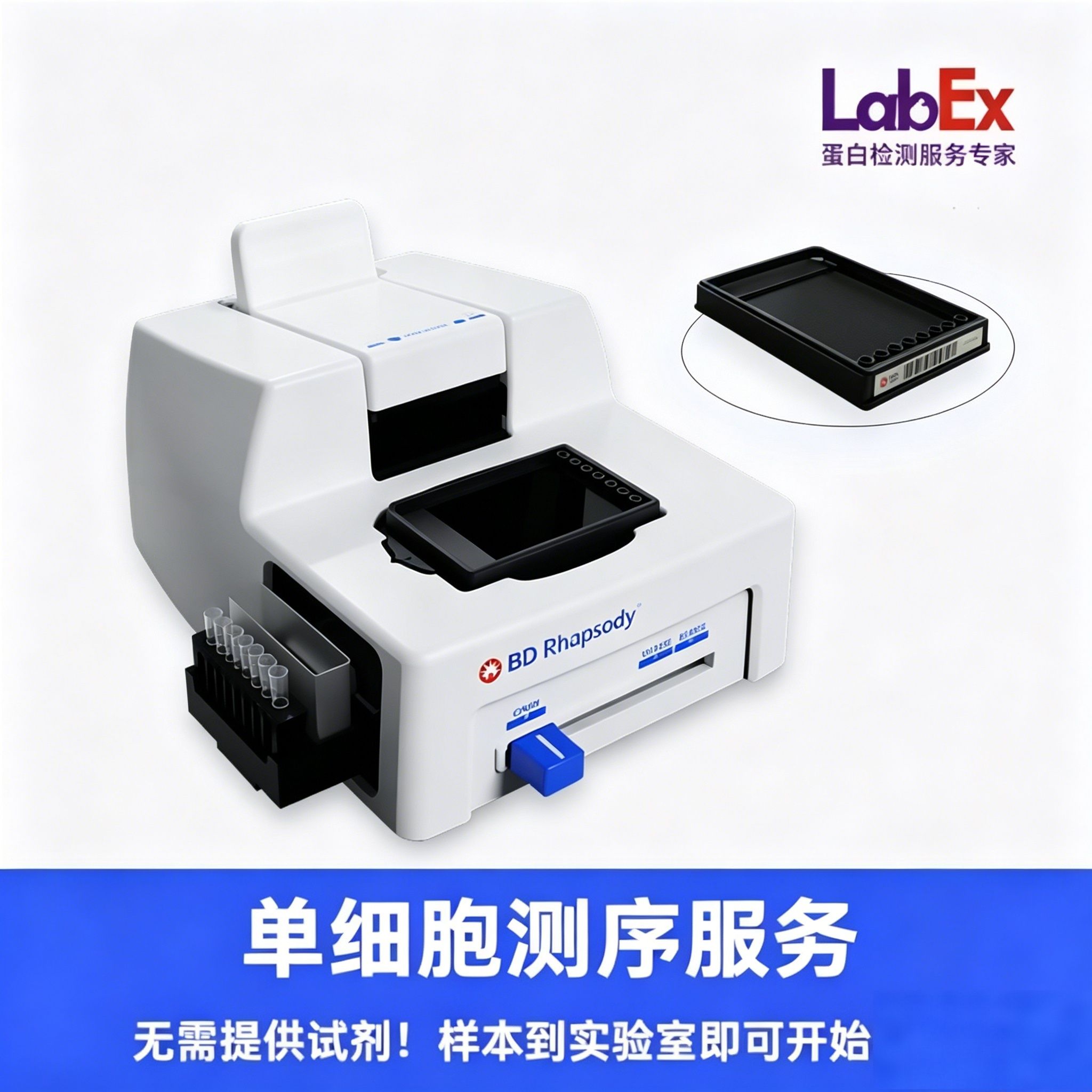 AbSeq小鼠免疫发现-34Panel