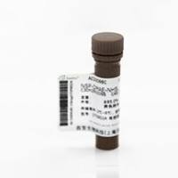 Seebio®硫酸软骨素钠标准品,DDM1618A-1