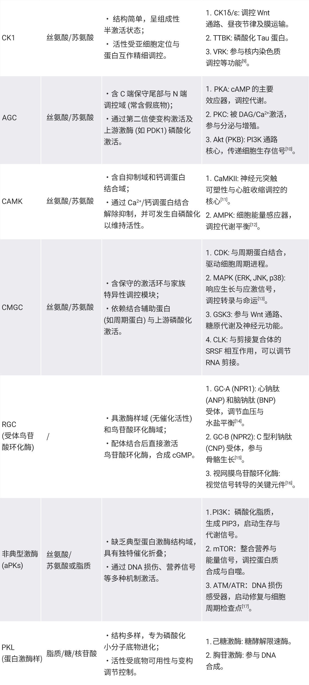 新闻图片4