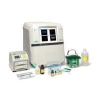 全能成像系统-ChemiDoc MP-BioRad-伯乐