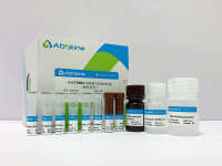 一步法TUNEL细胞凋亡检测试剂盒（绿色荧光）