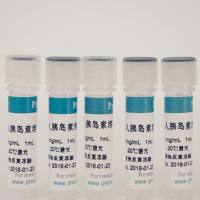 重组人胰岛素溶液(10mg/mL) / Recombinant Human Insulin