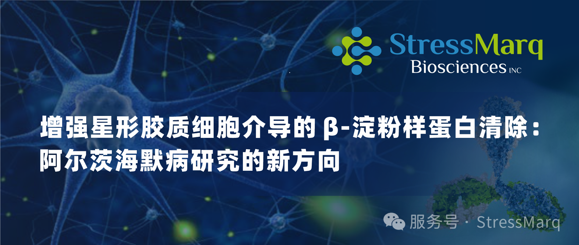 阿爾茨海默病研究的新方向.png