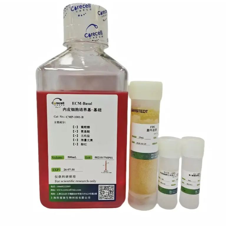 CORE-CELL 内皮细胞培养基产品