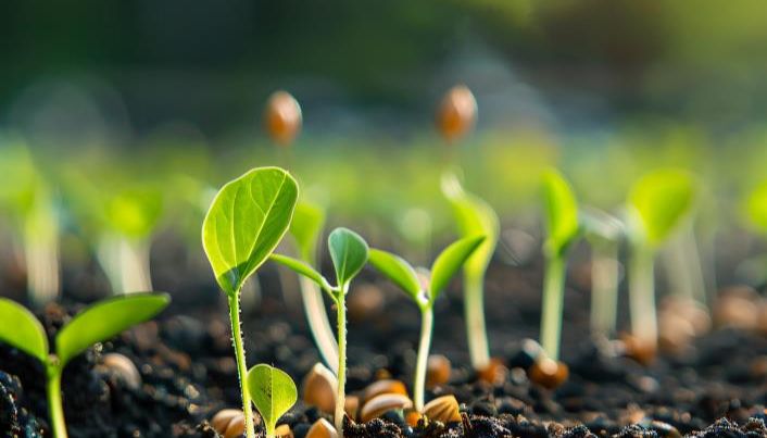 肥料总养分检测硬核指南：菲优特助您精准测定氮磷钾，合规又高效