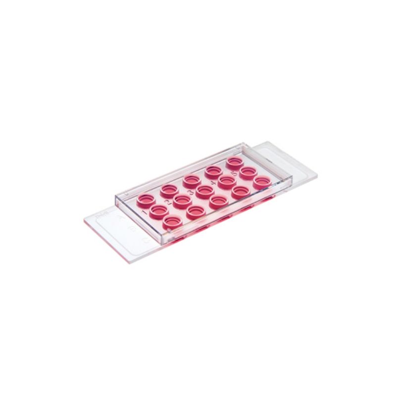 ibidi 3D细胞培养/血管生成载玻片－81506