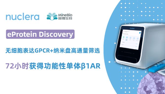 无细胞表达GPCR+纳米盘高通量筛选：72小时获得功能性单体β1AR