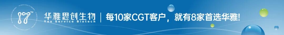 BD流式抗体818号令合规方案｜562782/563800/564406等现货供应