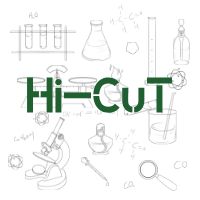 Hi-Cut技术服务