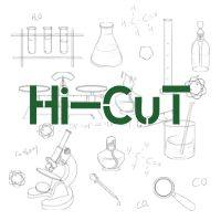 Hi-Cut技术服务