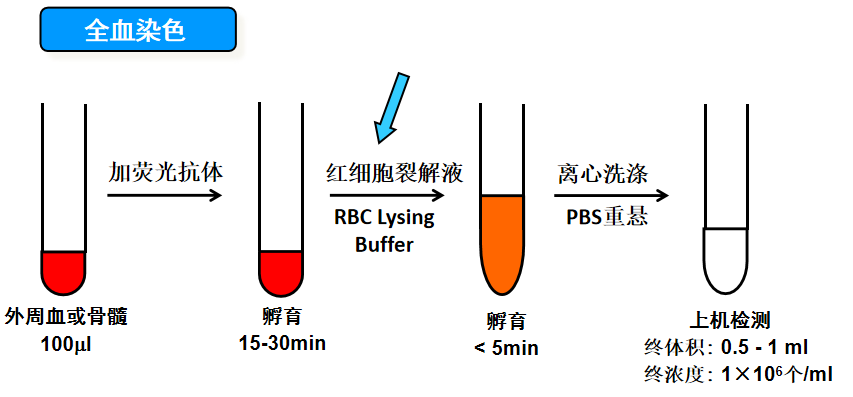 新闻图片4
