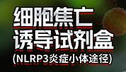 新赛道！高效稳定诱导细胞焦亡