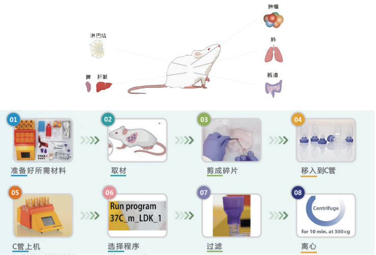 解码单细胞世界：流式细胞术检测服务的全流程解析