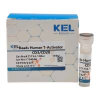 KELBeads Human T-Activator CD3/CD28