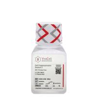 细胞冻存液3号（无动物源成分），无酚红