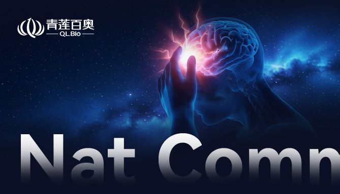 Nature子刊 | 慢性疼痛为何总是治不好？空间蛋白质组发现疼痛关键靶点