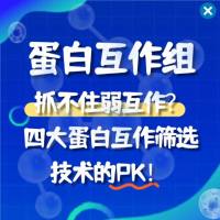 蛋白互作组：抓不住弱互作？四大蛋白互作筛选技术的PK！ 