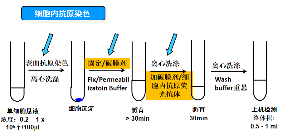 新闻图片3