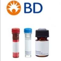 BD 661414 /661415 Accuri C6 Plus CS&T质控微球